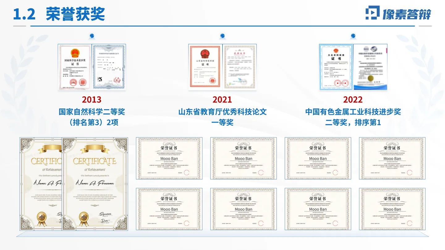 中国科学院院士增选工作汇报PPT模板(流体燃料电池)荣誉与学术影响页面参考