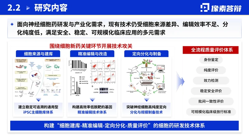江苏省双创团队答辩PPT模板：新医药研究：研究内容与任务关系