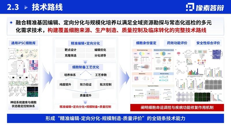 江苏省双创团队答辩PPT模板：新医药研究：总体技术路线