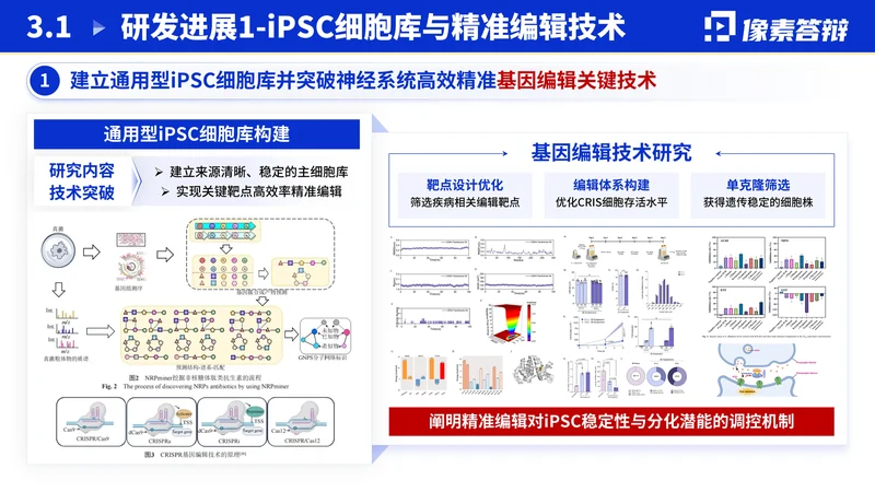 江苏省双创团队答辩PPT模板：新医药研究：关键研究环节