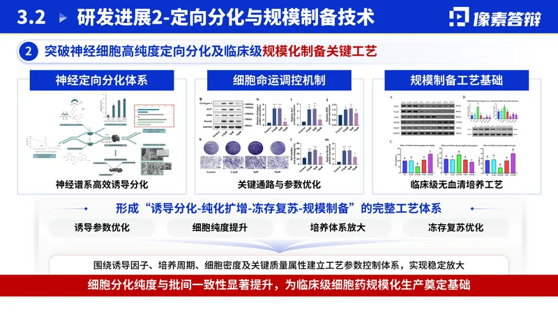 江苏省双创团队答辩PPT模板：新医药研究：工艺与阶段结果表达