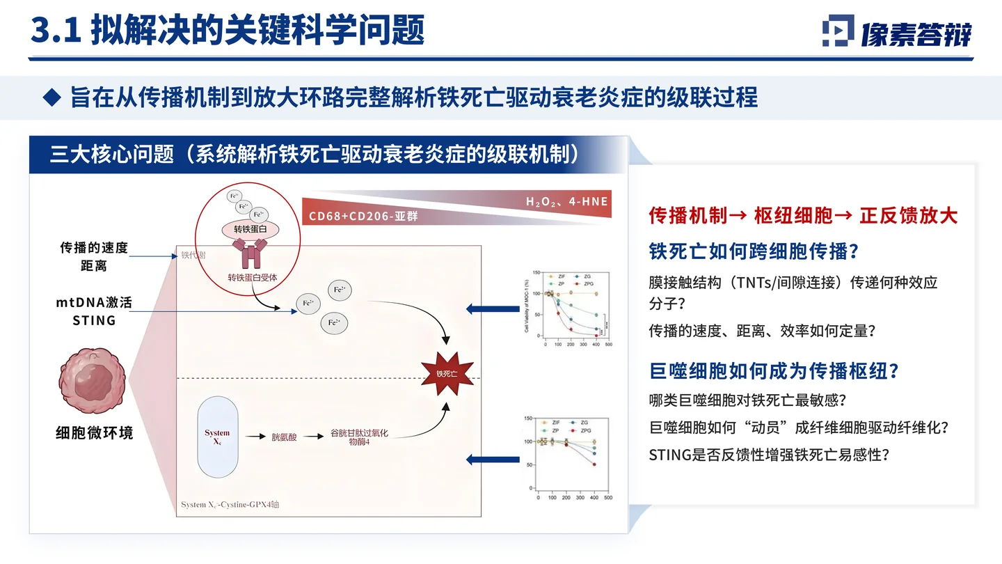 国家杰青(青年科学基金项目A类)答辩PPT模板(铁死亡与衰老炎症)拟解决的关键科学问题页面参考