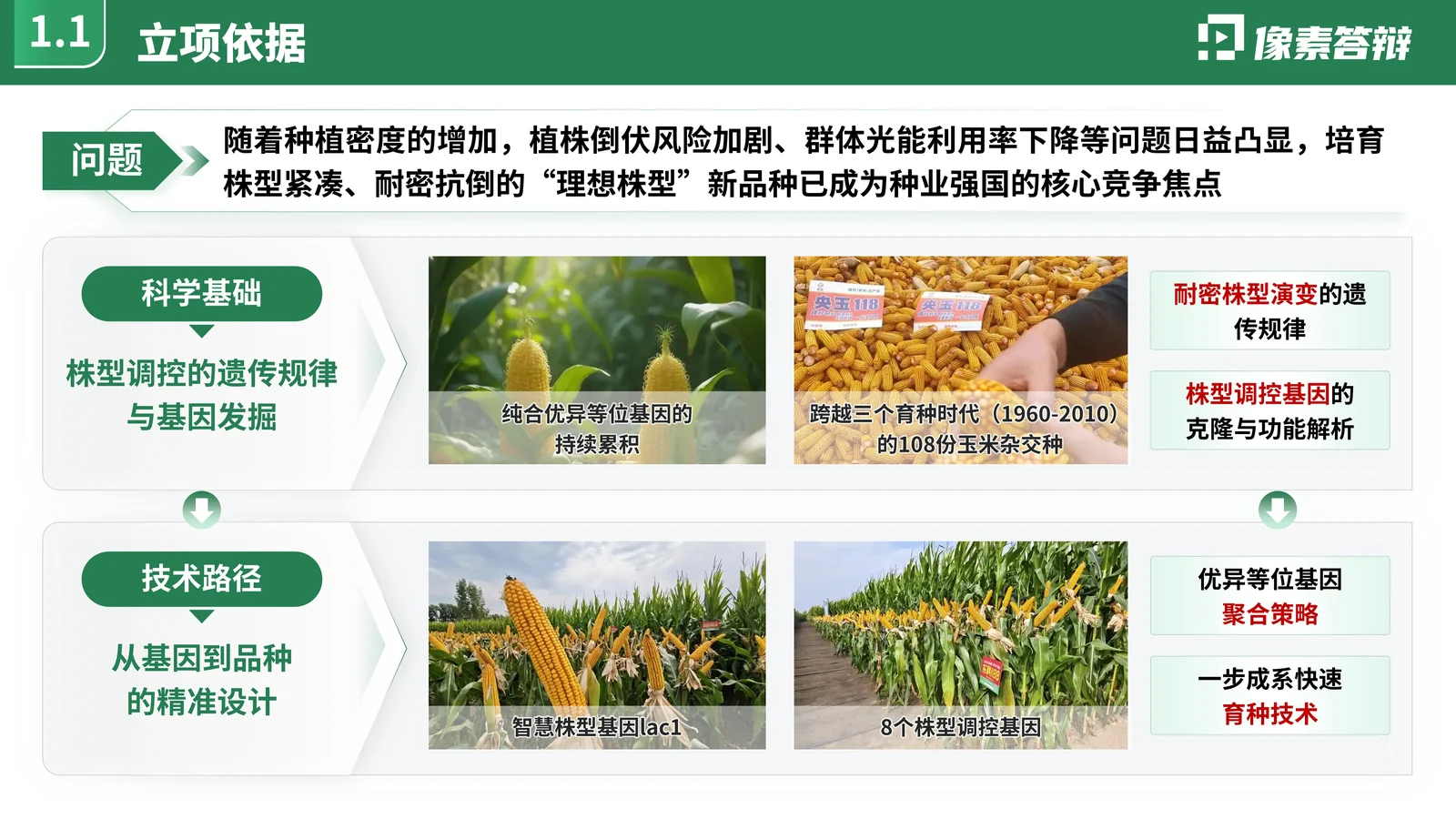 山东省重点研发计划答辩PPT模板与任务分解项目背景与核心问题页参考