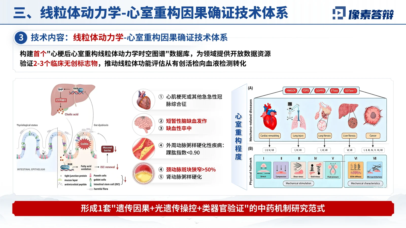 树兰医学奖答辩PPT模板与医学证据链验证证据与对比分析页参考